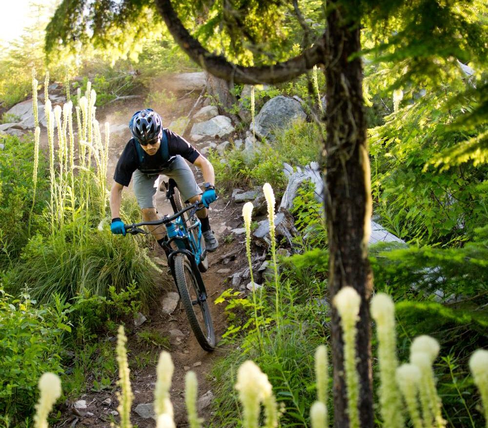 A mountain biker navigating a rugged trail in Rossland, BC, with stunning mountain views and dense forests surrounding the path.