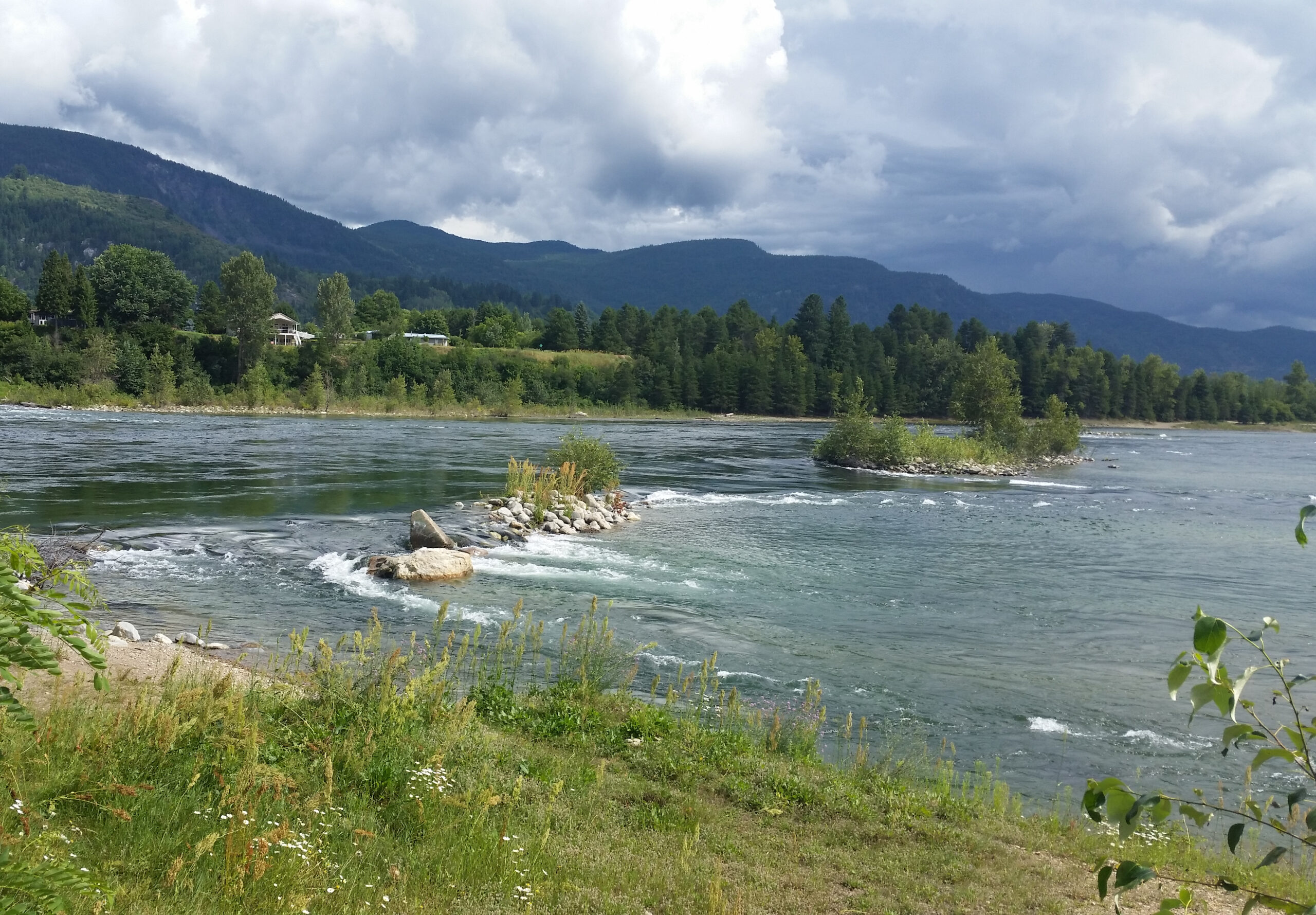 Scenic view of the Columbia River flowing through Castlegar, BC, surrounded by lush forests and mountains.